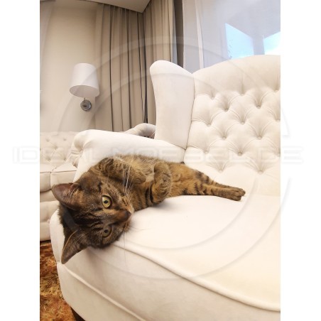 Chesterfield Schlafsofa Original Classic mit Schlaffunktionr, Samt 3-Sitzer