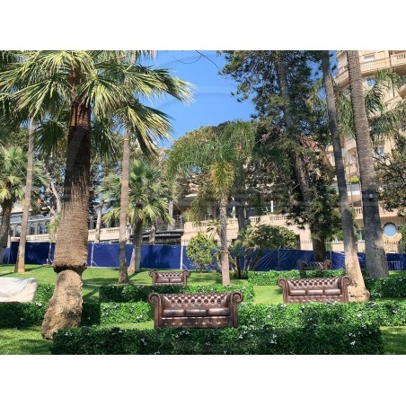 Chesterfield Ledersofa Classic XL 2,5-Sitzer