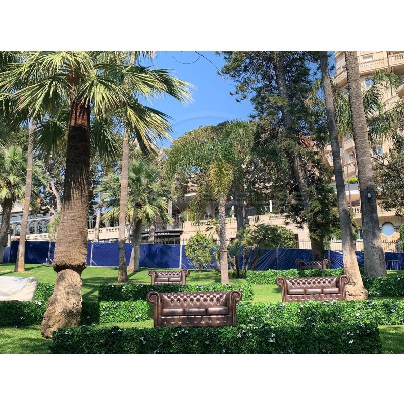 Chesterfield Ledersofa Classic 2-Sitzer